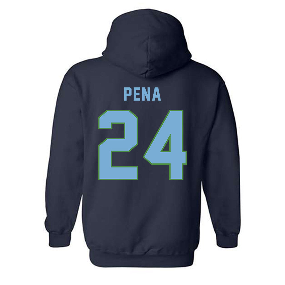 CSU Monterey Bay - NCAA Women's Basketball : Janelle Pena - Classic Shersey Hooded Sweatshirt-1