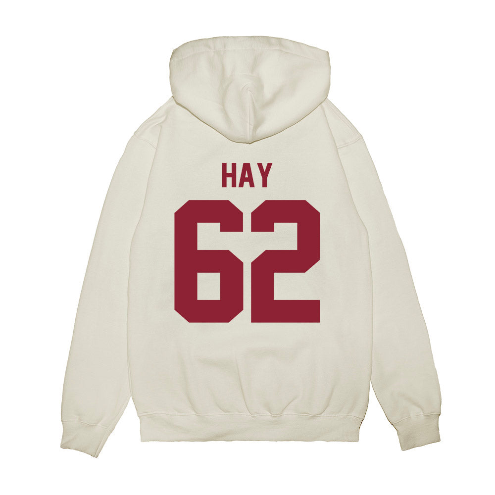 South Carolina - NCAA Football : Nolan Hay - Vintage Helmet Premium Hooded Sweatshirt-1