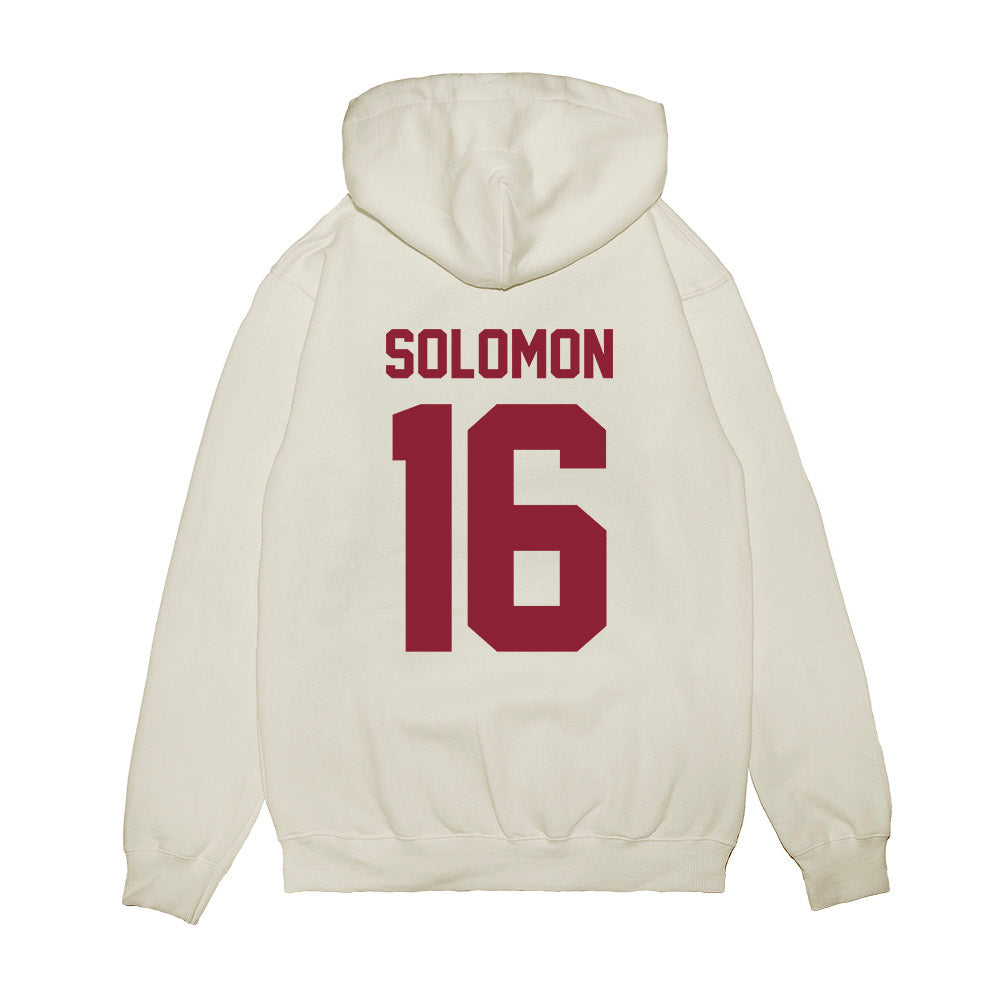 South Carolina - NCAA Football : Jalewis Solomon - Vintage Helmet Premium Hooded Sweatshirt-1