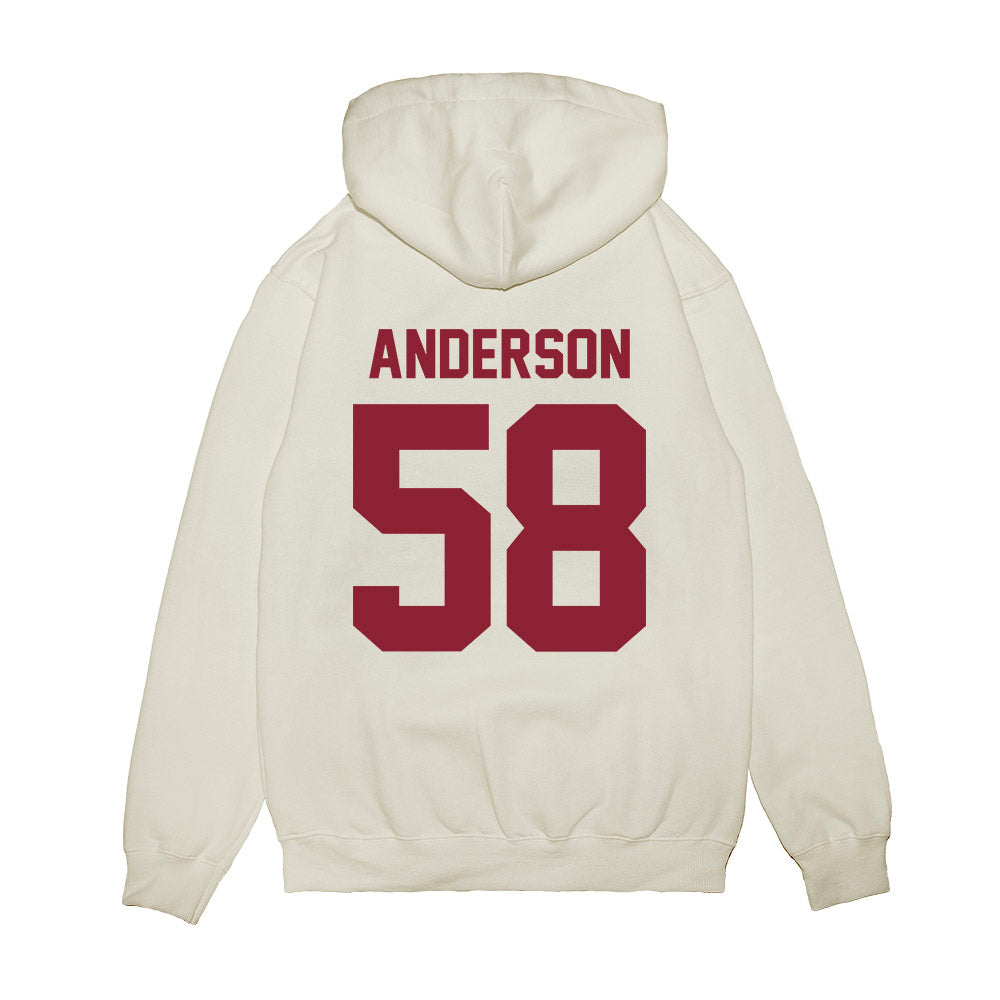 South Carolina - NCAA Football : Markee Anderson - Vintage Helmet Premium Hooded Sweatshirt-1