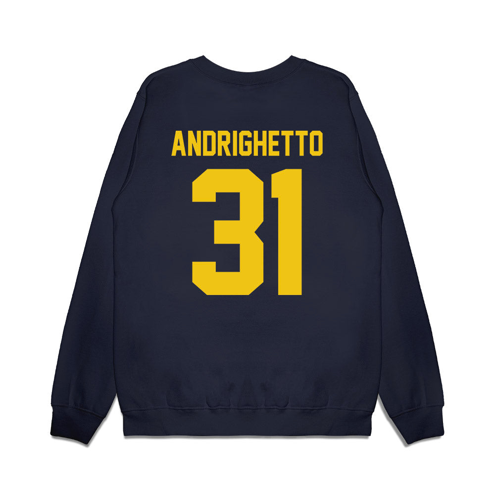 Michigan - NCAA Football : Nico Andrighetto - Vintage Helmet Premium Crewneck Sweatshirt-1