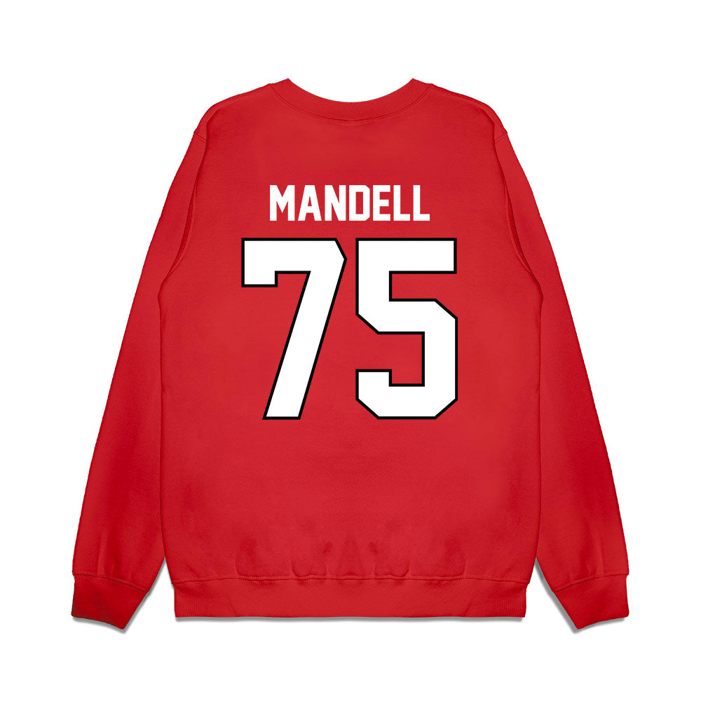 Wisconsin - NCAA Football : Emerson Mandell - Vintage Helmet Premium Crewneck Sweatshirt-1