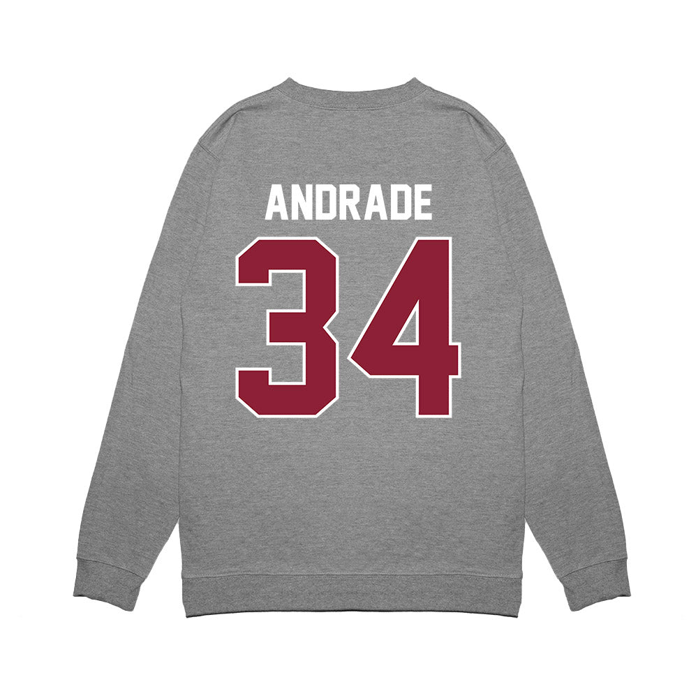 UMass - NCAA Football : Payton Andrade - Vintage Football Premium Crewneck Sweatshirt-1
