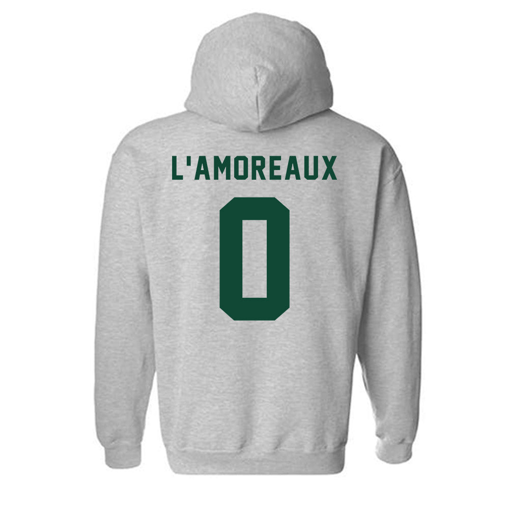 Brockport - NCAA Men's Lacrosse : Luke L'Amoreaux - Classic Shersey Hooded Sweatshirt-1