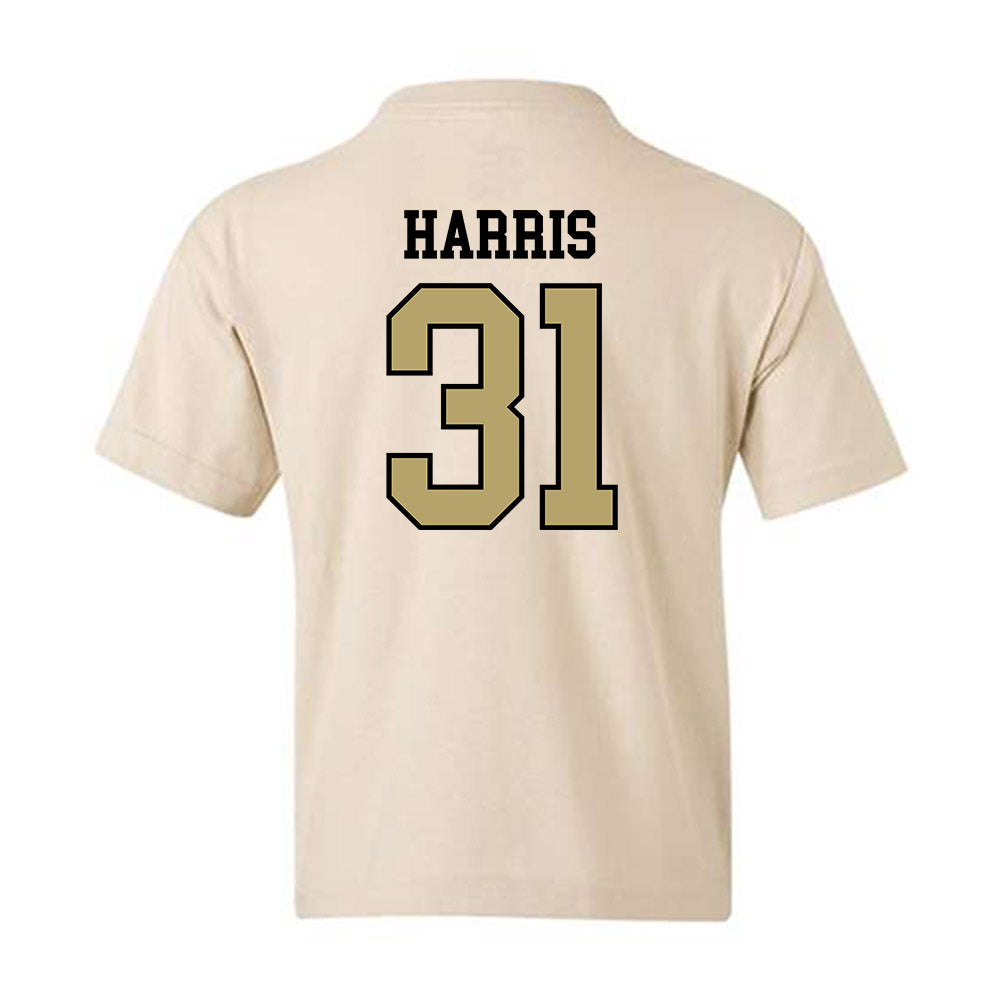 Ferrum - NCAA Football : Ethan Harris - Classic Shersey Youth T-Shirt-1