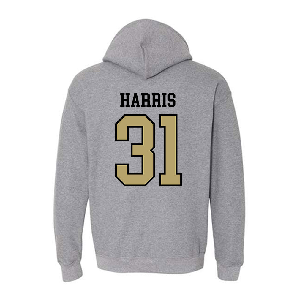 Ferrum - NCAA Football : Ethan Harris - Classic Shersey Hooded Sweatshirt-1