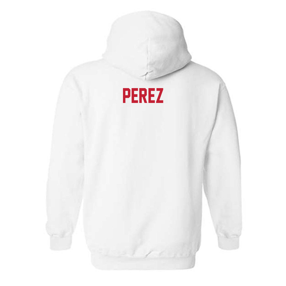 New Mexico - NCAA Men's Tennis : Alberto Perez - Classic Shersey Hooded Sweatshirt-1
