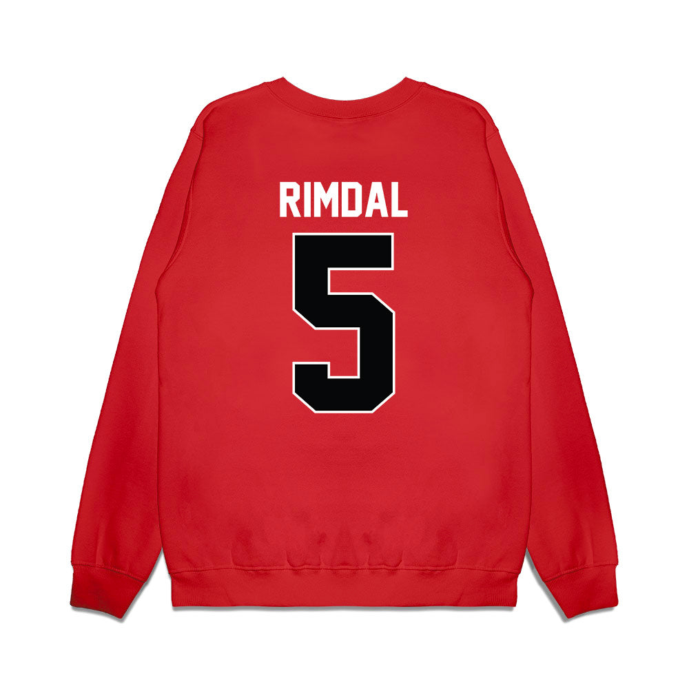 Nebraska - NCAA Women's Basketball : Alberte Rimdal - Vintage Basketball Premium Crewneck Sweatshirt-1