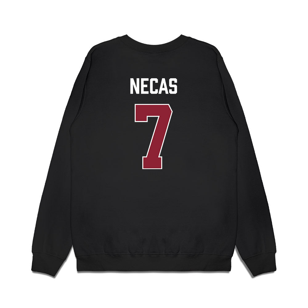 South Carolina - NCAA Men's Basketball : Jakub Necas - Gamecocks Shersey Premium Crewneck Sweatshirt-1
