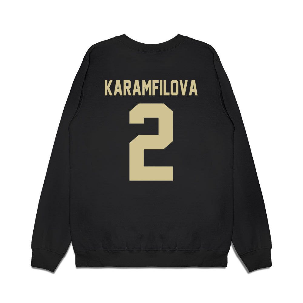 USF - NCAA Women's Basketball : Yana Karamfilova - Vintage Bulls Premium Crewneck Sweatshirt-1