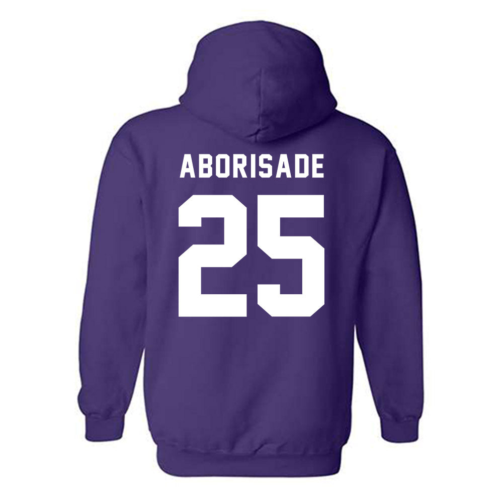 CCNY - NCAA Men's Basketball : Olabanjo Aborisade - Classic Shersey Hooded Sweatshirt-1