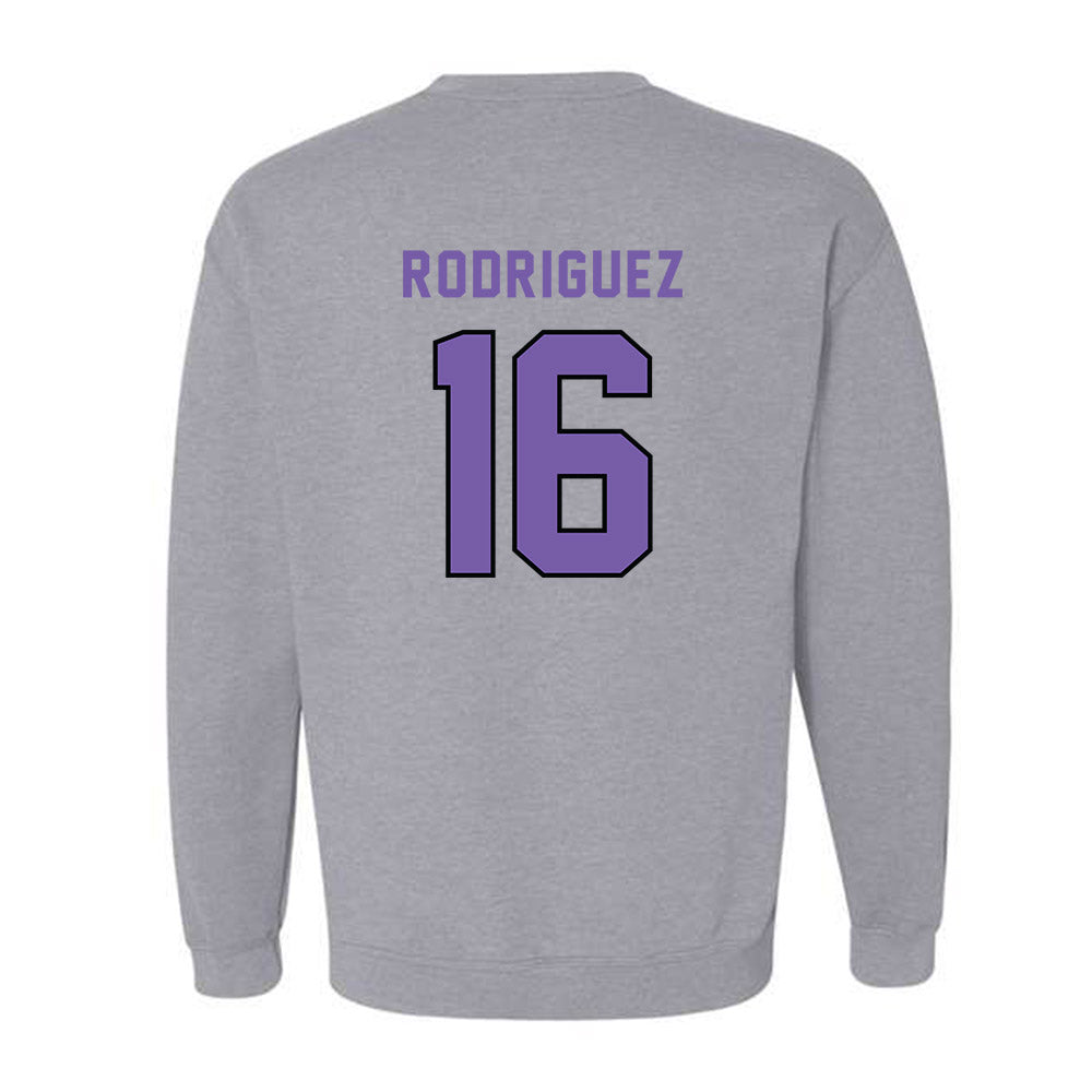 CCNY - NCAA Men's Soccer : Fausto Rodriguez - Classic Shersey Crewneck Sweatshirt-1