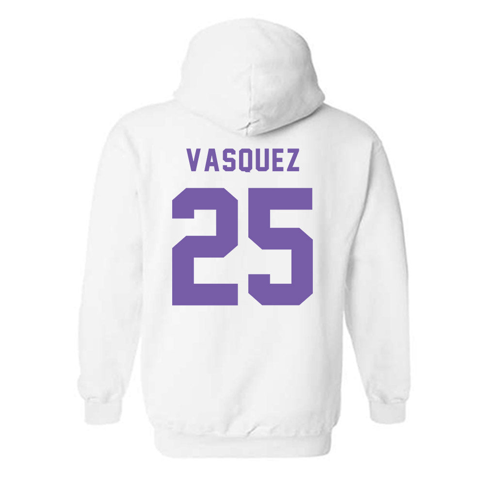 CCNY - NCAA Baseball : Noel Vasquez - Classic Shersey Hooded Sweatshirt-1