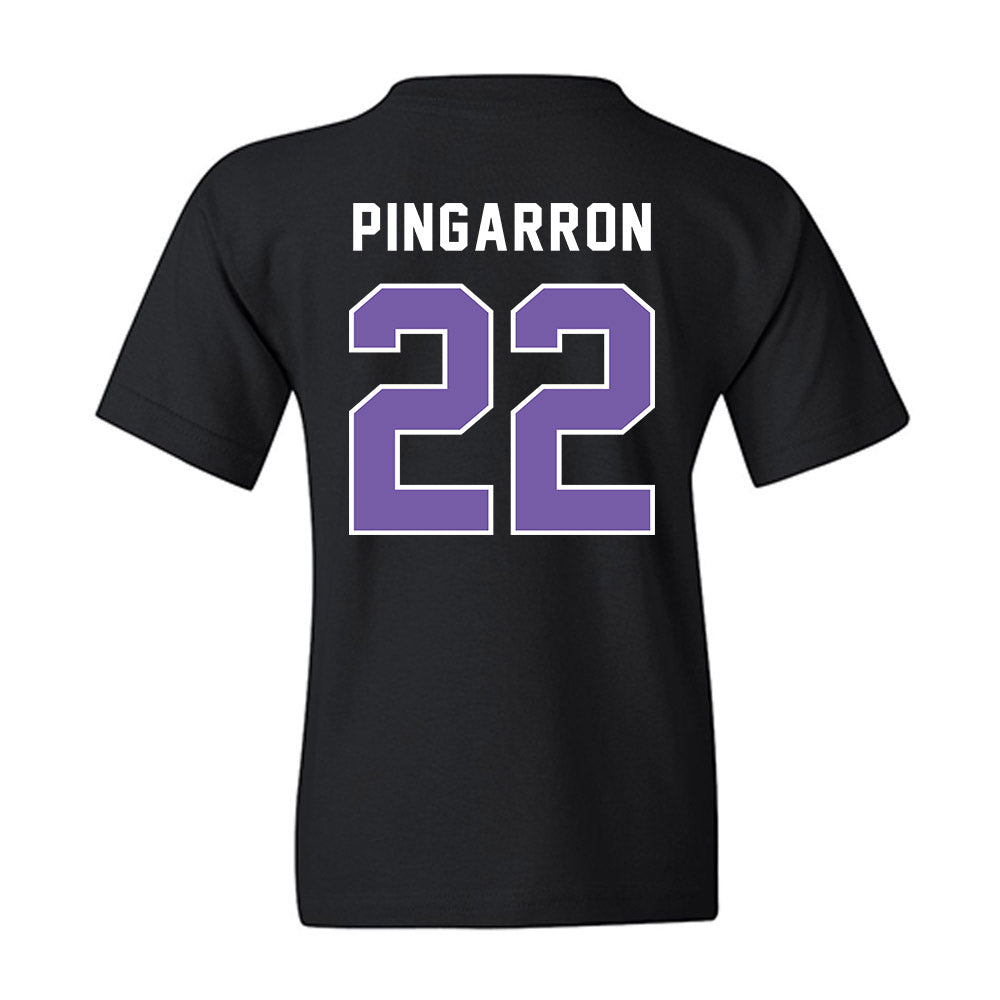 CCNY - NCAA Men's Soccer : Milton Pingarron - Classic Shersey Youth T-Shirt-1