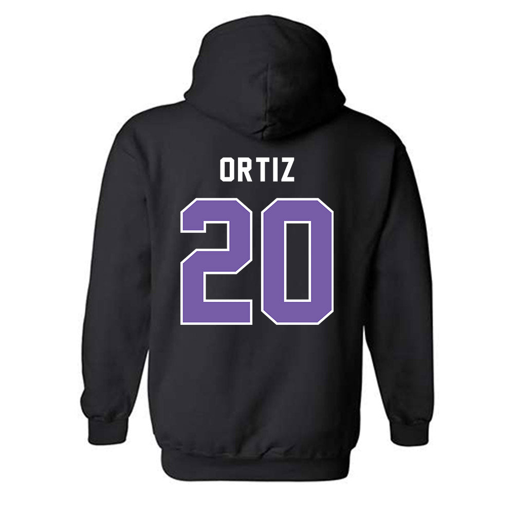 CCNY - NCAA Men's Soccer : Carlos Ortiz - Classic Shersey Hooded Sweatshirt-1