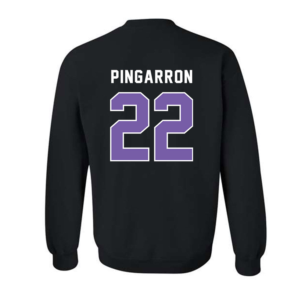 CCNY - NCAA Men's Soccer : Milton Pingarron - Classic Shersey Crewneck Sweatshirt-1