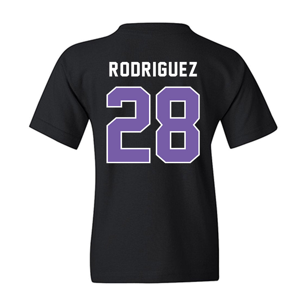 CCNY - NCAA Baseball : Alex Rodriguez - Classic Shersey Youth T-Shirt-1