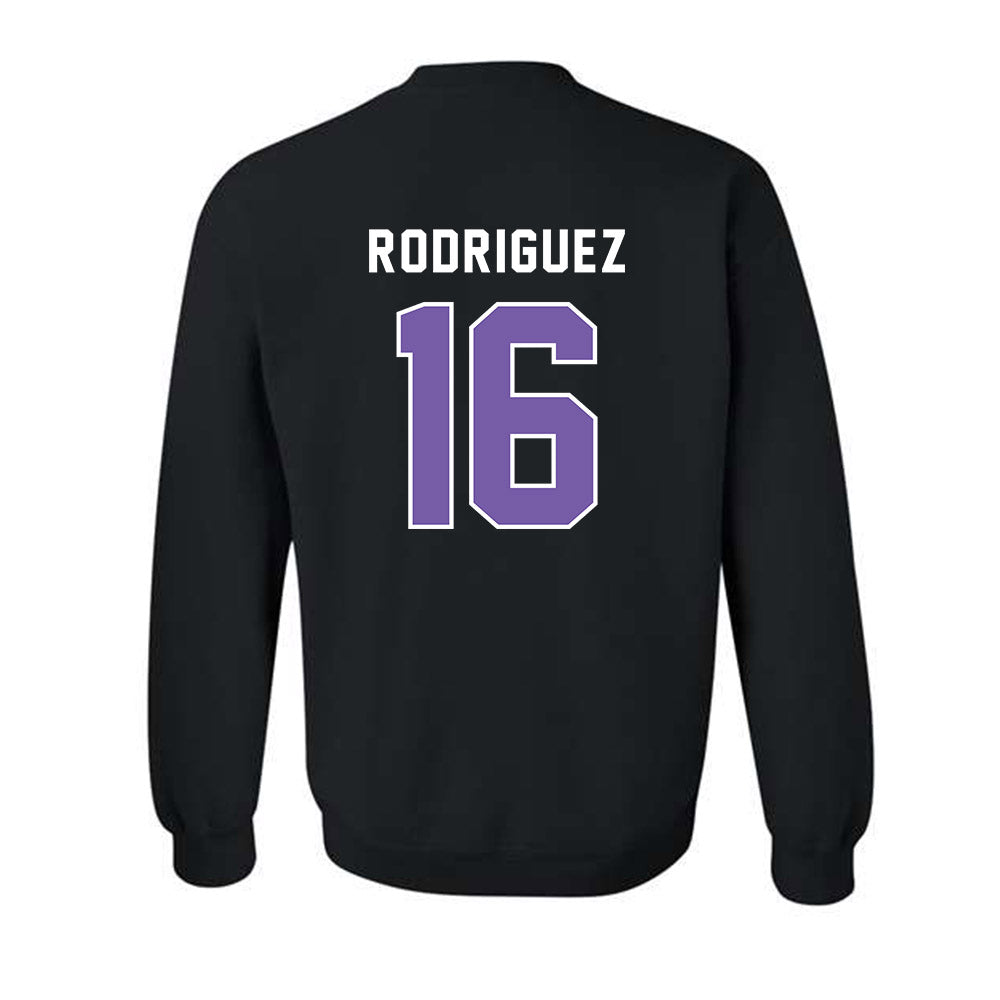 CCNY - NCAA Men's Soccer : Fausto Rodriguez - Classic Shersey Crewneck Sweatshirt-1