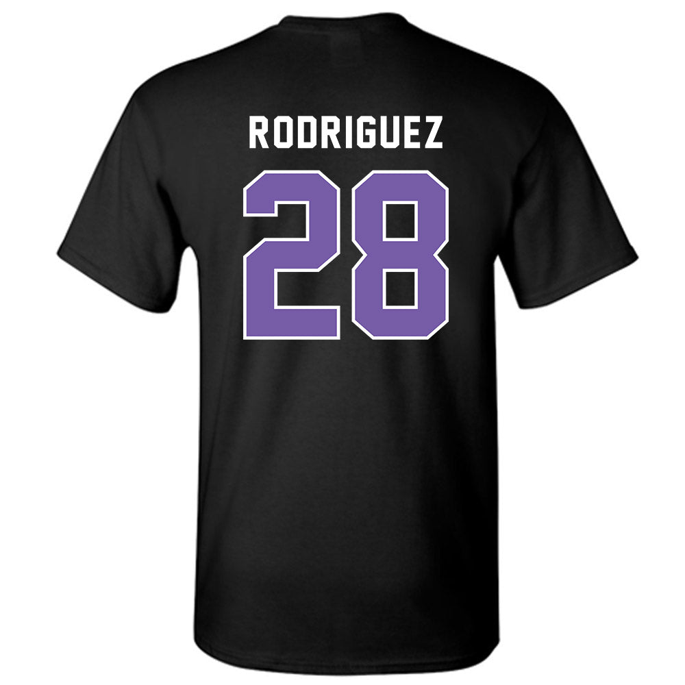 CCNY - NCAA Baseball : Alex Rodriguez - Classic Shersey T-Shirt-1