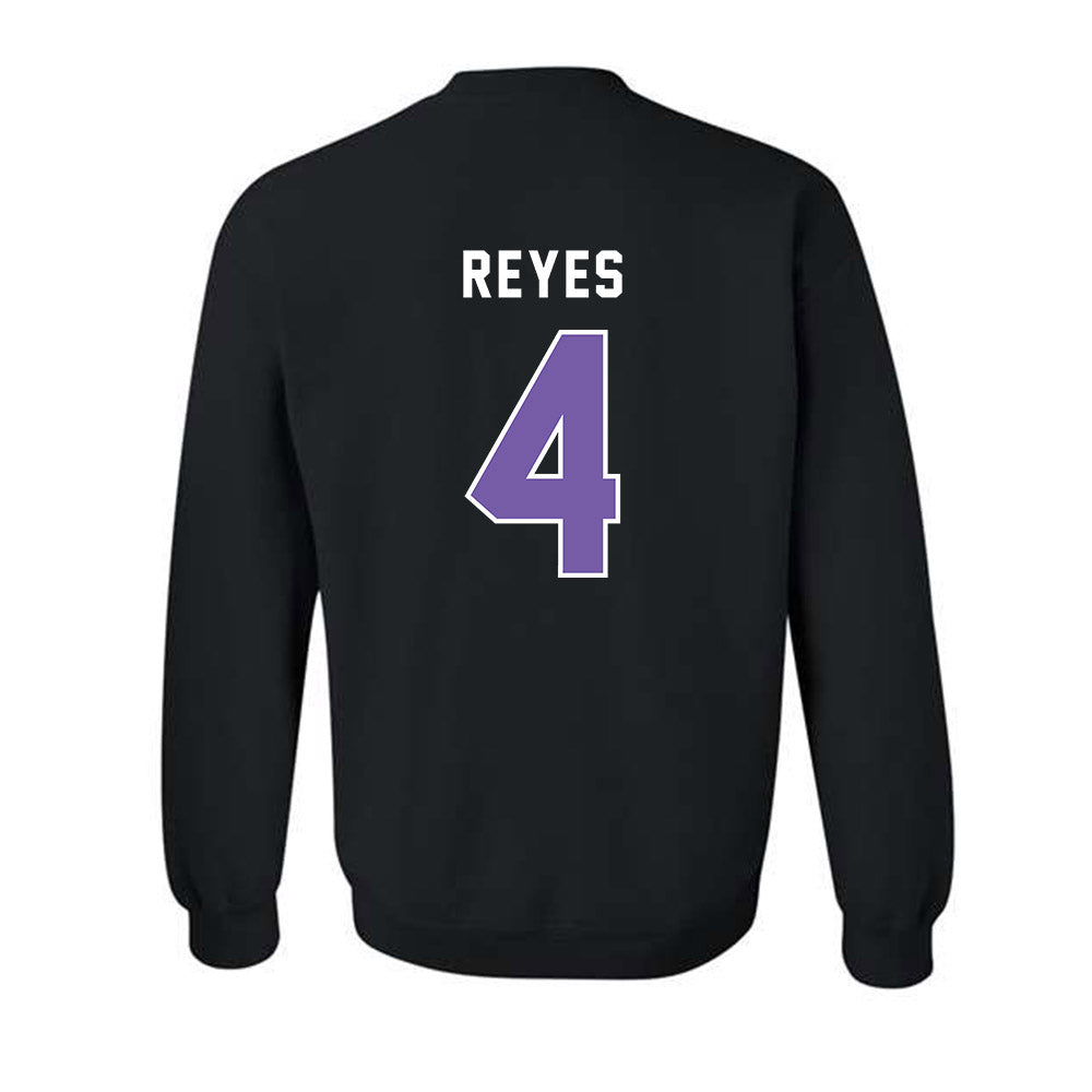 CCNY - NCAA Men's Basketball : Camryn Reyes - Classic Shersey Crewneck Sweatshirt-1