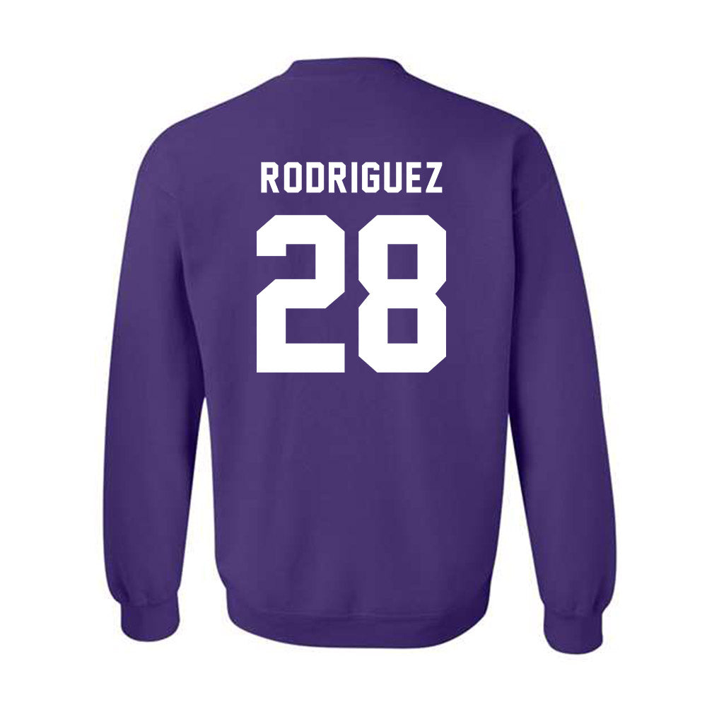 CCNY - NCAA Baseball : Alex Rodriguez - Classic Shersey Crewneck Sweatshirt-1
