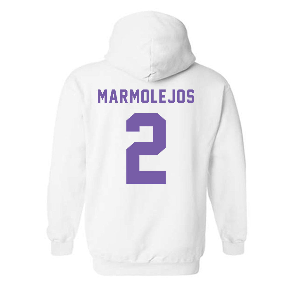 CCNY - NCAA Baseball : Eric Marmolejos - Classic Shersey Hooded Sweatshirt-1