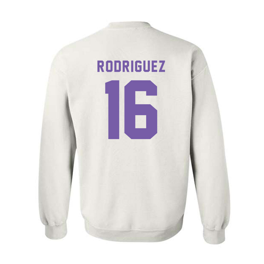 CCNY - NCAA Men's Soccer : Fausto Rodriguez - Classic Shersey Crewneck Sweatshirt-1