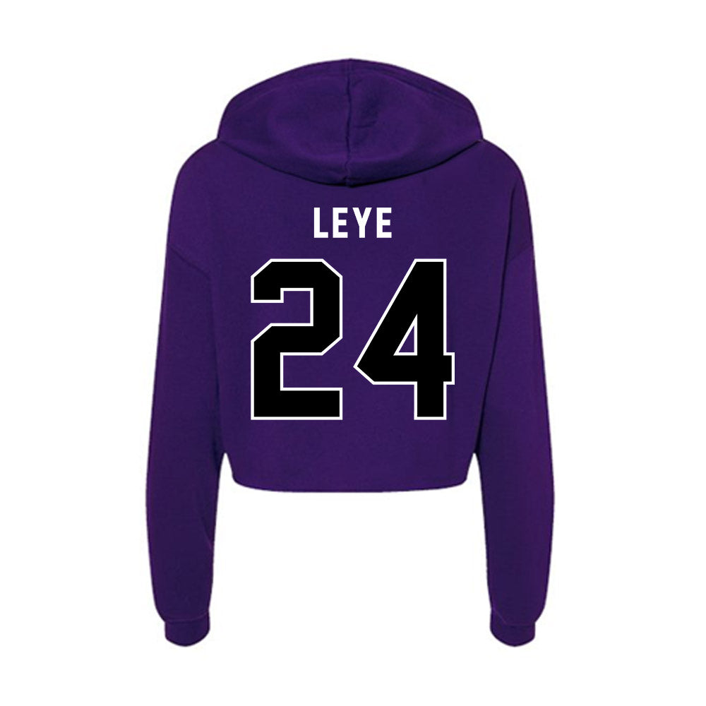 CCNY - NCAA Men's Basketball : David Leye - Women's Crop Fleece Hoodie-1