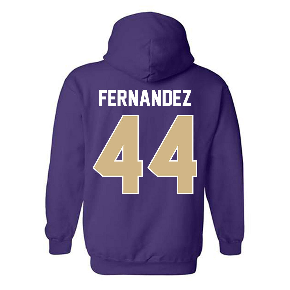 Washington - NCAA Men's Soccer : Gabe Fernandez - NCAA® 2025 National Champs Hooded Sweatshirt-1
