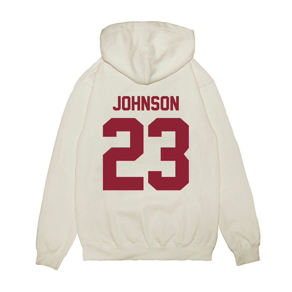 UMN Duluth - NCAA Men's Basketball : Brooks Johnson - Vintage Premium Hooded Sweatshirt-1