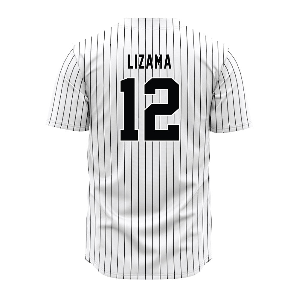 South Carolina - NCAA Baseball : Ethan Lizama - Pinstripe Jersey-1