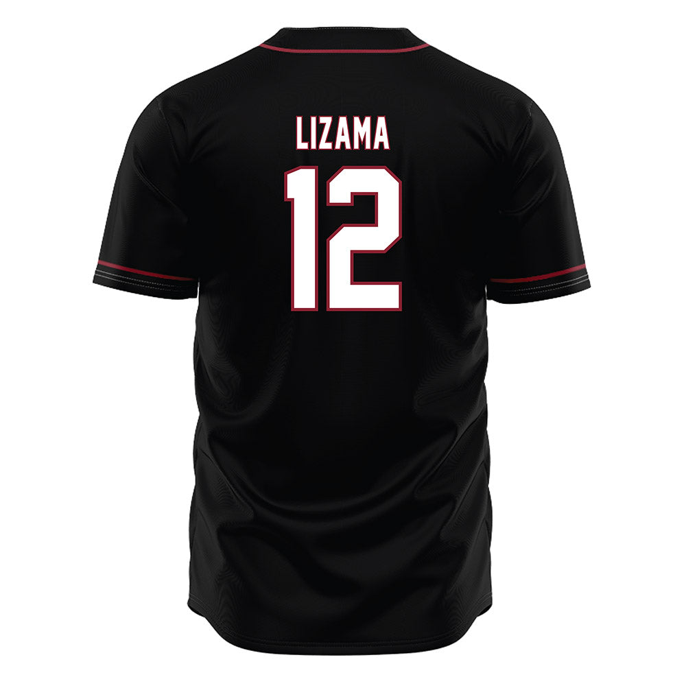 South Carolina - NCAA Baseball : Ethan Lizama - Black Jersey-1