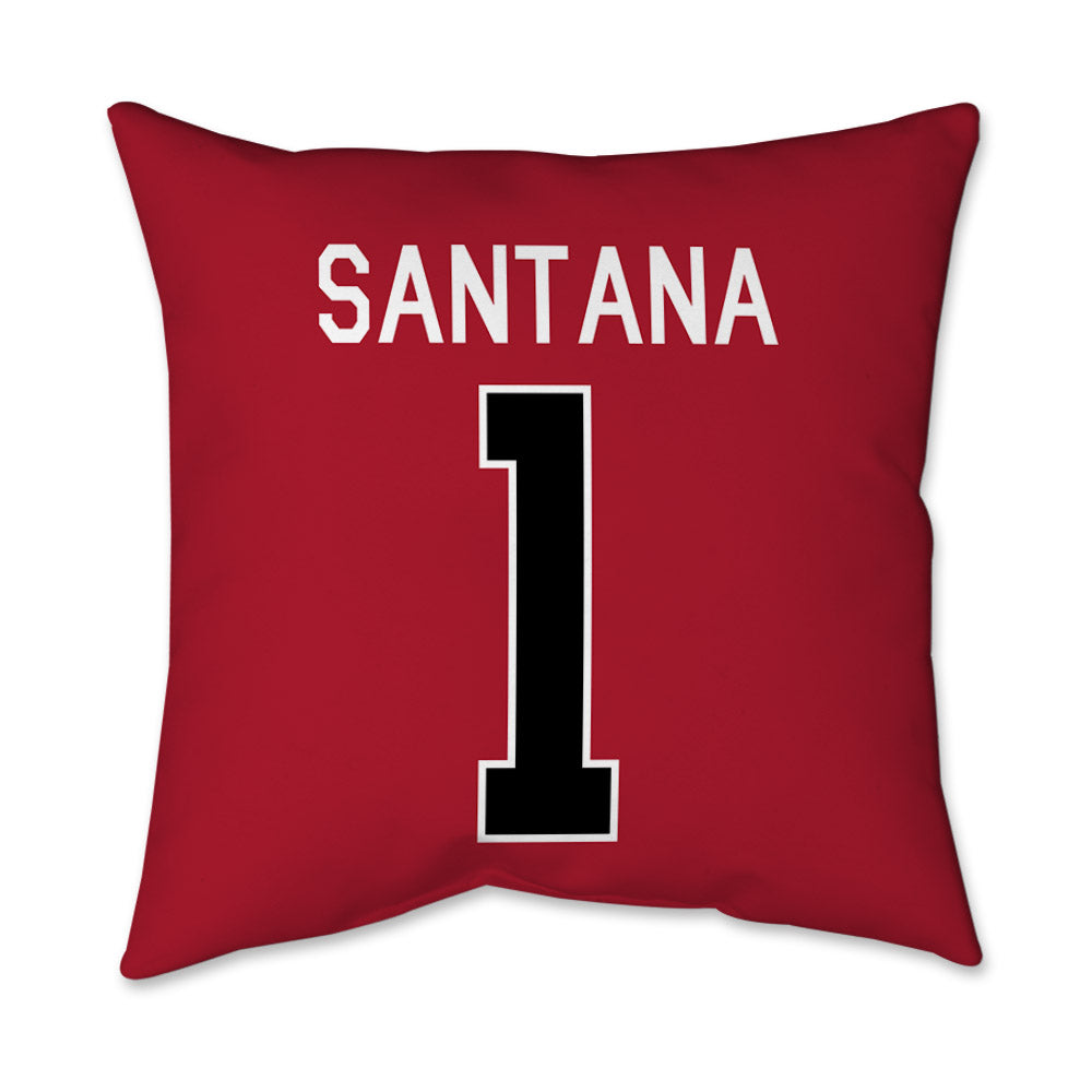 SDSU - NCAA Baseball : Dawson Santana - Pillow 16x16-1