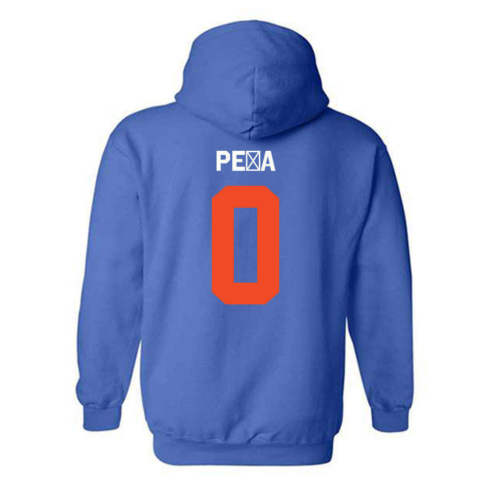 Florida - NCAA Women's Soccer : Paloma Pe�a - Classic Shersey Hooded Sweatshirt-3