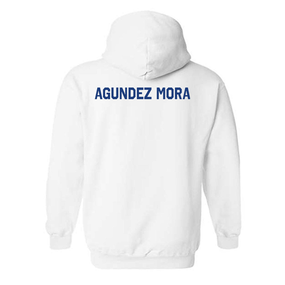 Florida - NCAA Men's Swimming & Diving : JESUS MIGUEL AGUNDEZ MORA - Classic Shersey Hooded Sweatshirt-1