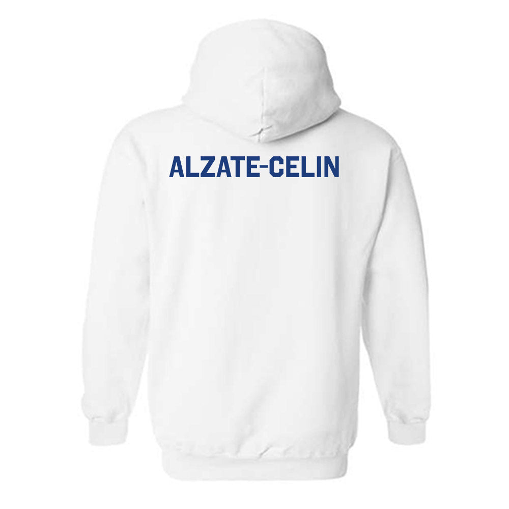 Florida - NCAA Men's Swimming & Diving : Santiago Alzate-Celin - Classic Shersey Hooded Sweatshirt-1