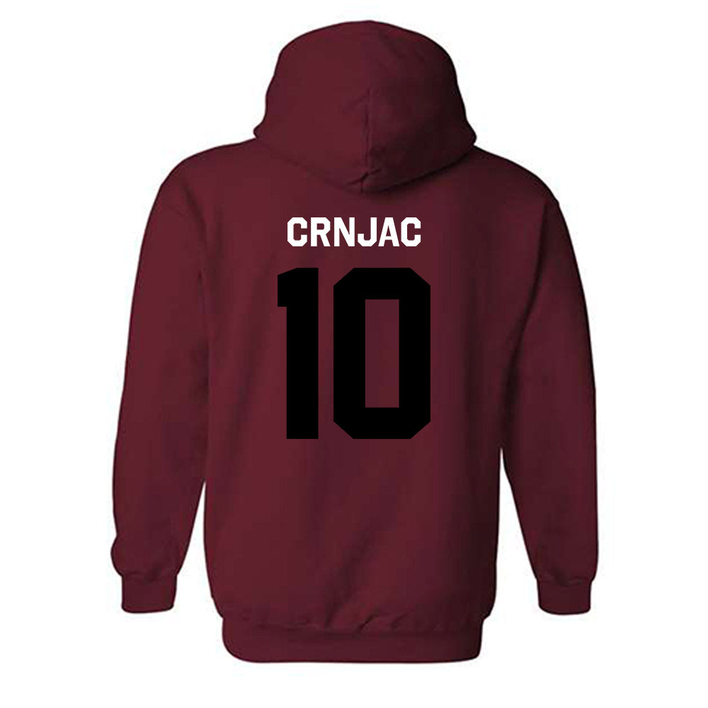 South Carolina - NCAA Women's Volleyball : Madi Crnjac - Classic Shersey Hooded Sweatshirt-3