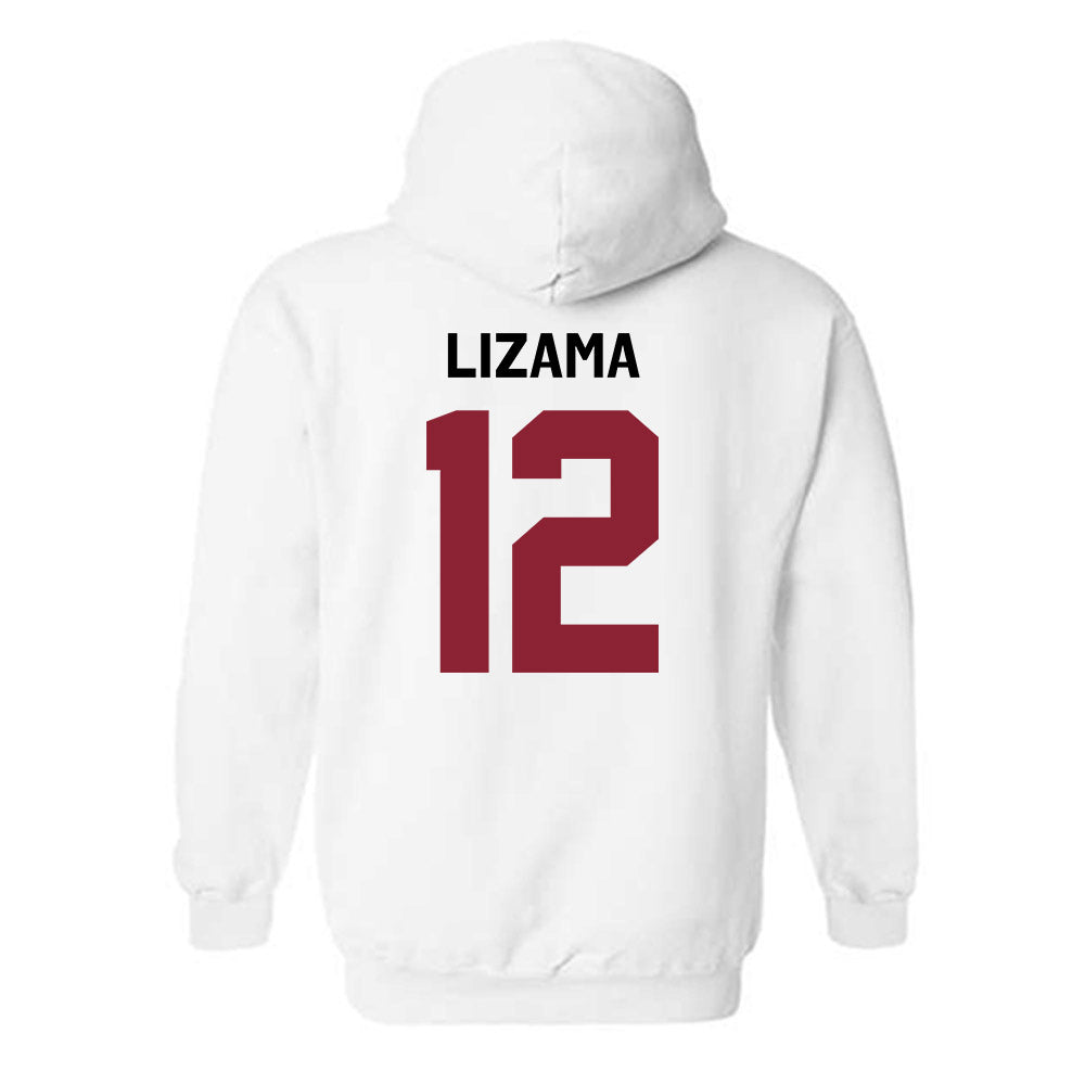South Carolina - NCAA Baseball : Ethan Lizama - Classic Shersey Hooded Sweatshirt-1