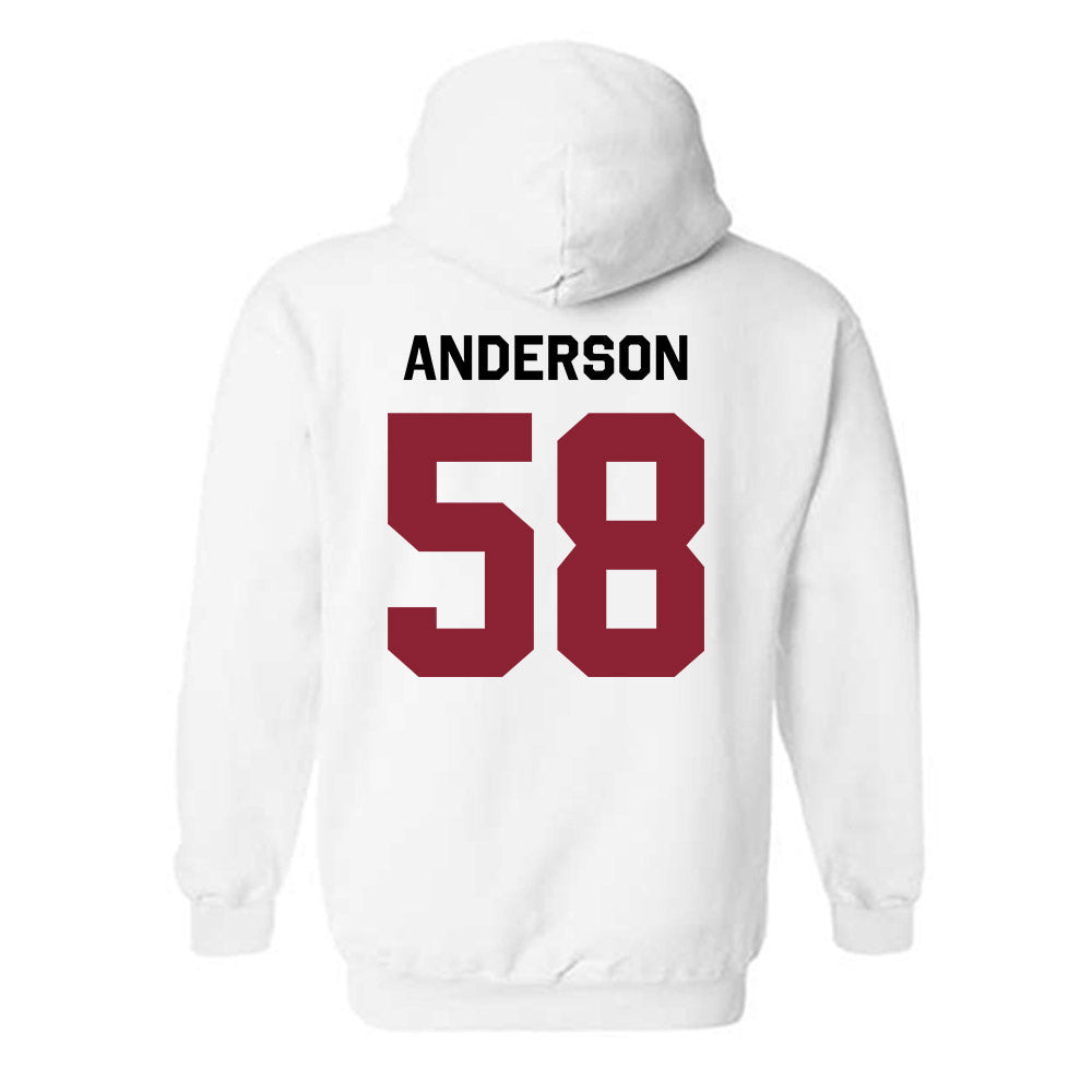 South Carolina - NCAA Football : Markee Anderson - Classic Shersey Hooded Sweatshirt-1