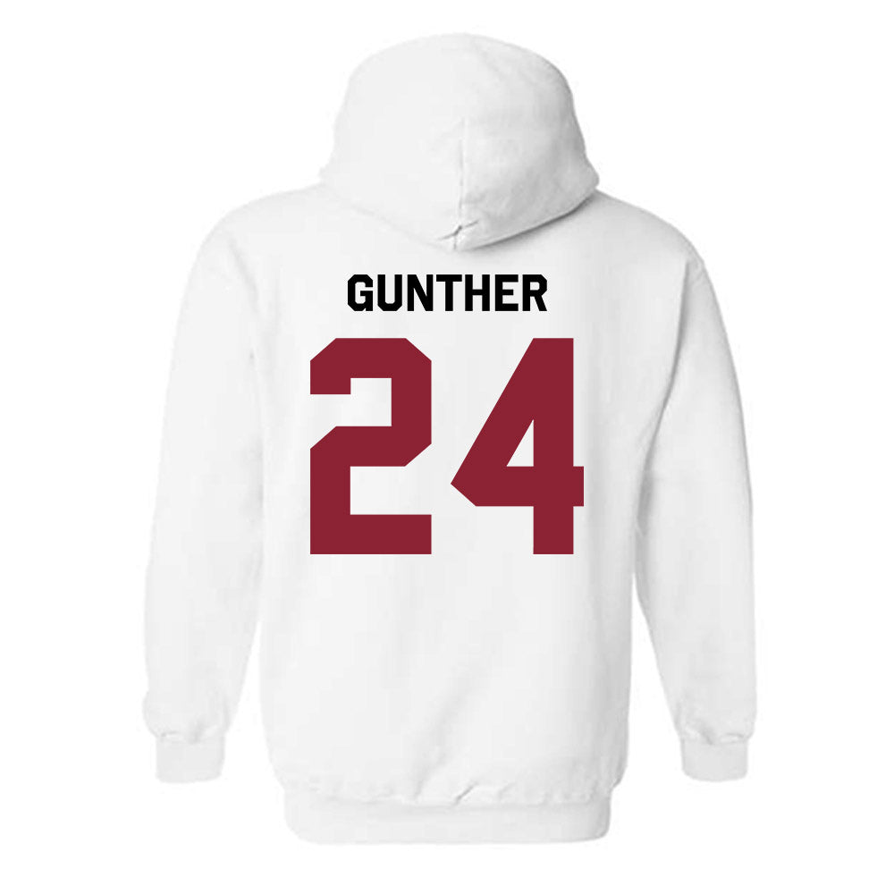 South Carolina - NCAA Baseball : Josh Gunther - Classic Shersey Hooded Sweatshirt-1