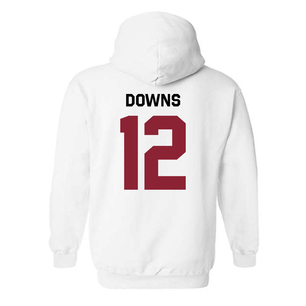 South Carolina - NCAA Beach Volleyball : Morgan Downs - Classic Shersey Hooded Sweatshirt-1