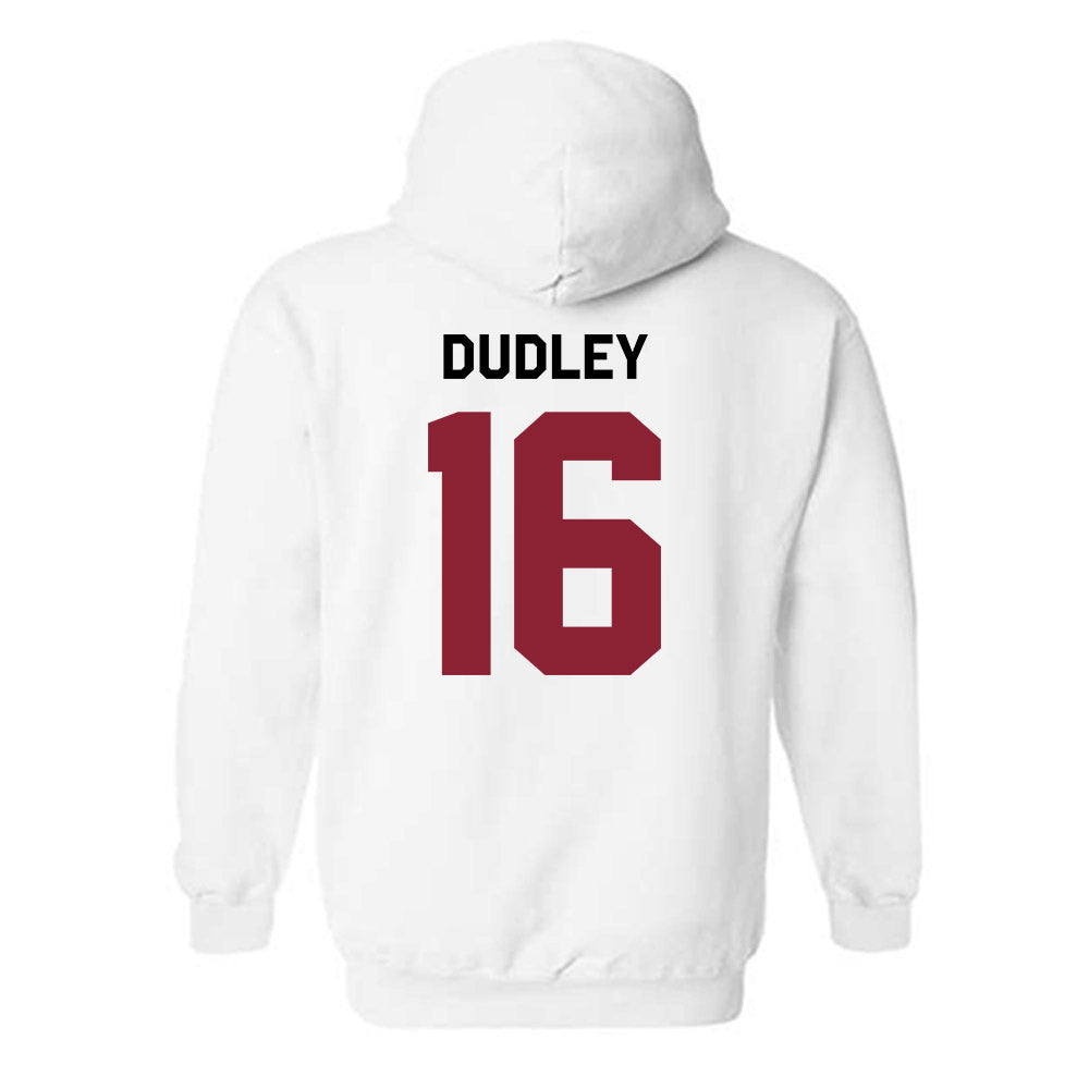 South Carolina - NCAA Baseball : Patrick Dudley - Classic Shersey Hooded Sweatshirt-1