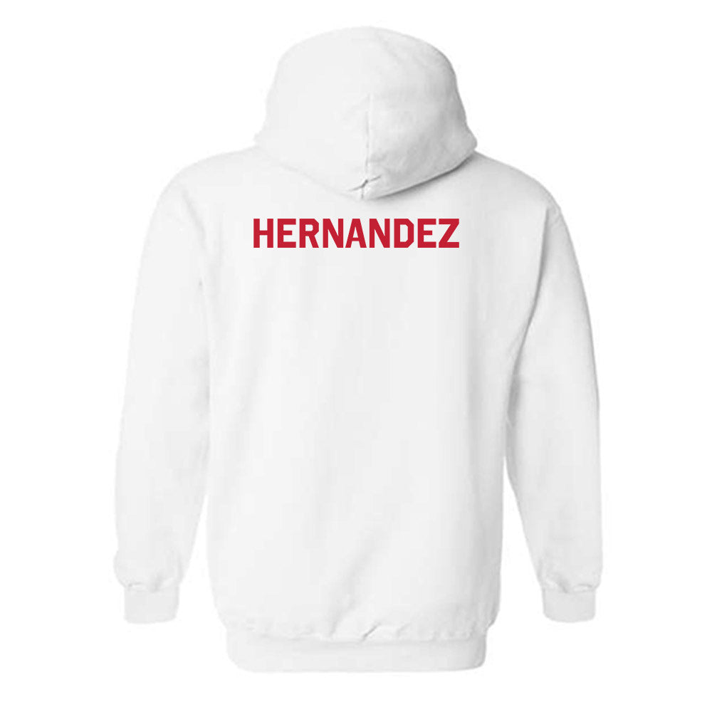 New Mexico - NCAA Men's Cross Country : Jayden Hernandez - Classic Shersey Hooded Sweatshirt-1