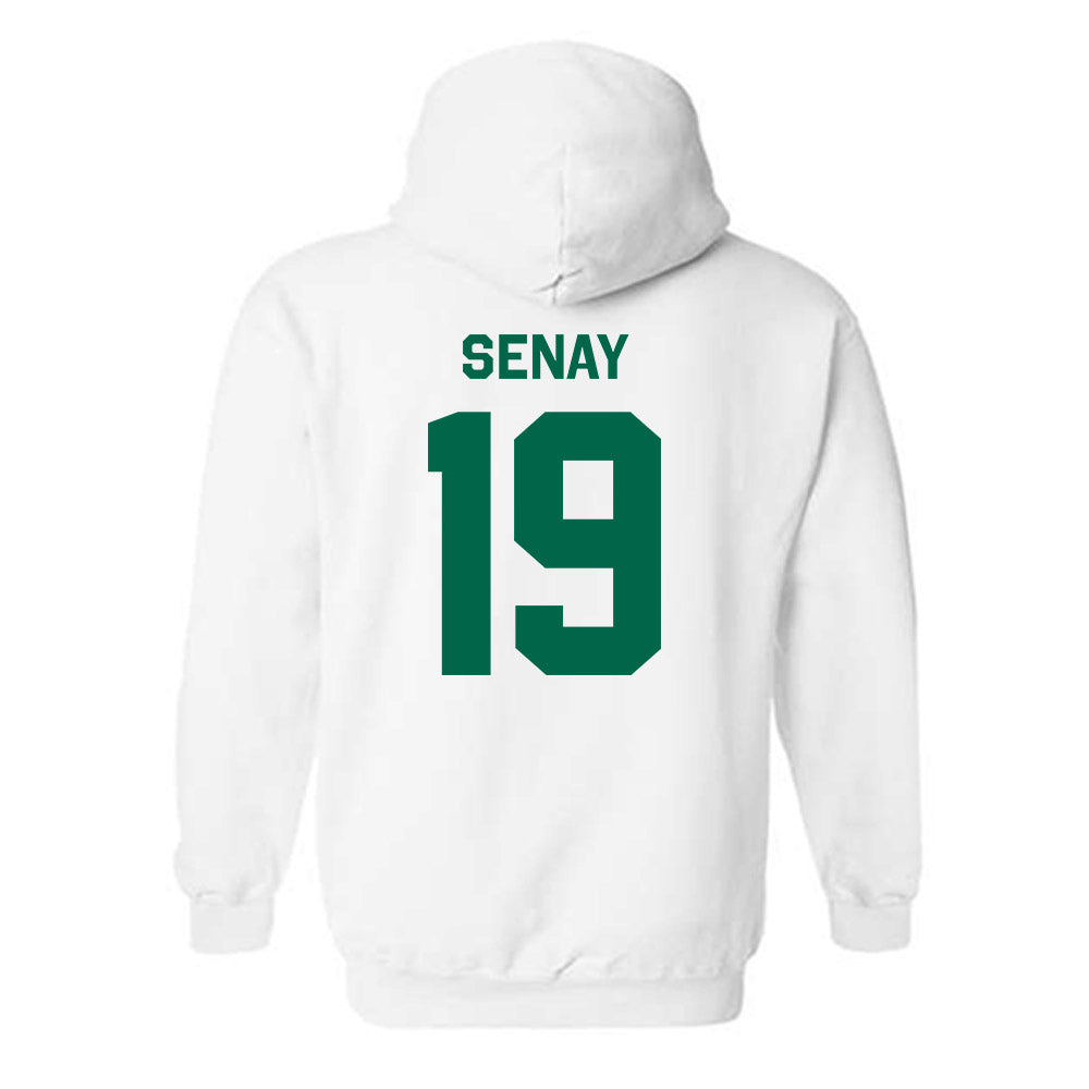 USF - NCAA Baseball : Michael Senay - Classic Shersey Hooded Sweatshirt-1