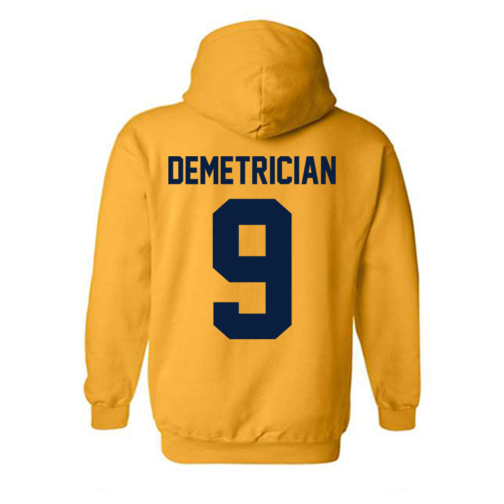 Michigan - NCAA Women's Volleyball : Ella Demetrician - Classic Shersey Hooded Sweatshirt-1