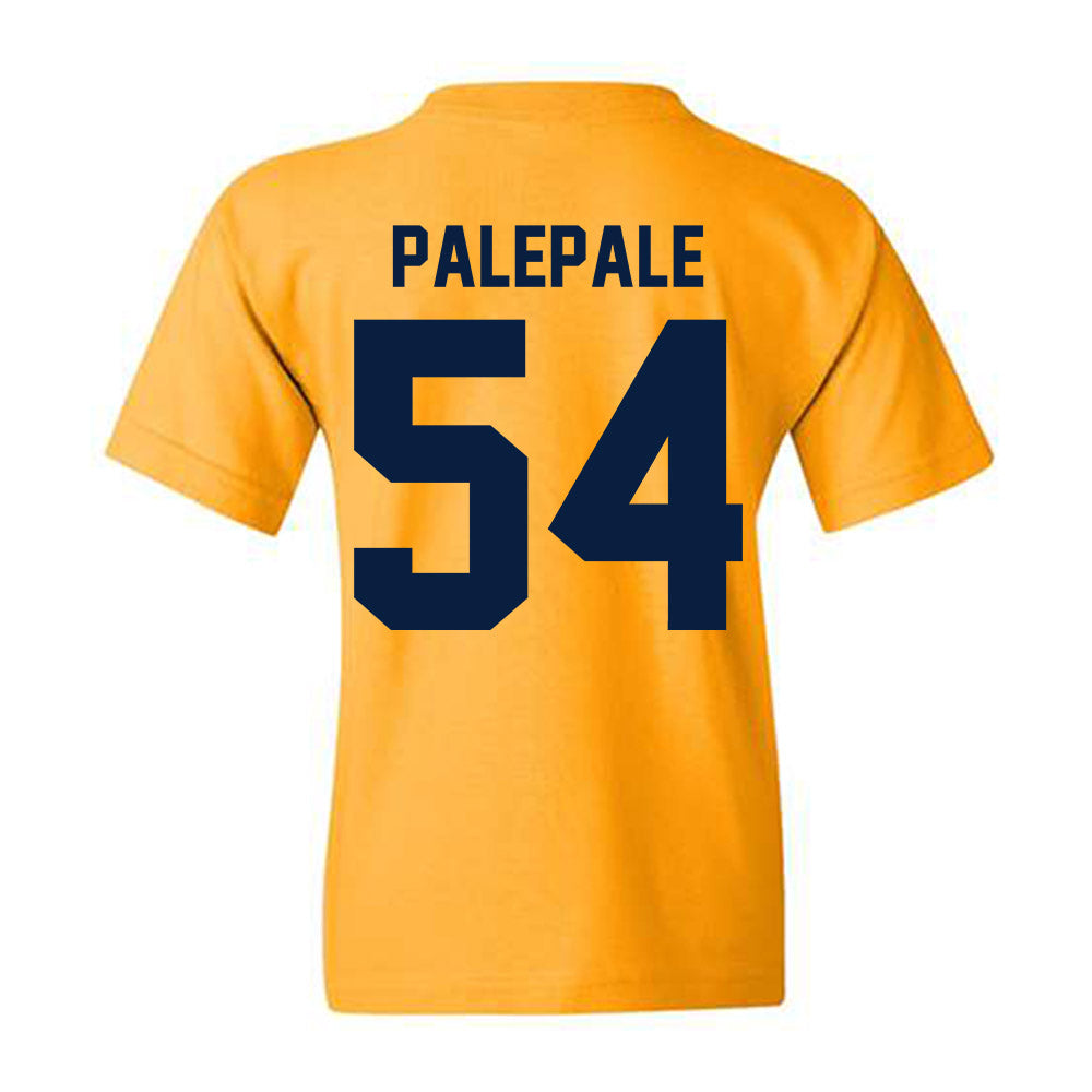 Michigan - NCAA Football : Deyvid Palepale - Classic Shersey Youth T-Shirt-1