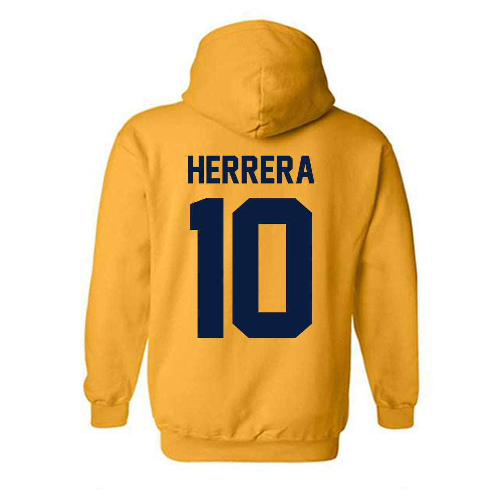 Michigan - NCAA Men's Soccer : Duilio Herrera - Classic Shersey Hooded Sweatshirt-1