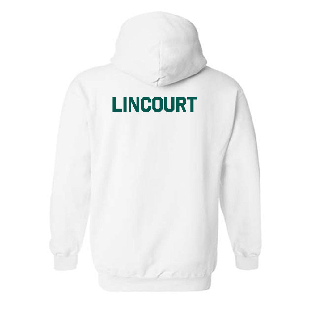 Wayne State - NCAA Women's Cross Country : Olivia Lincourt - Classic Shersey Hooded Sweatshirt-1