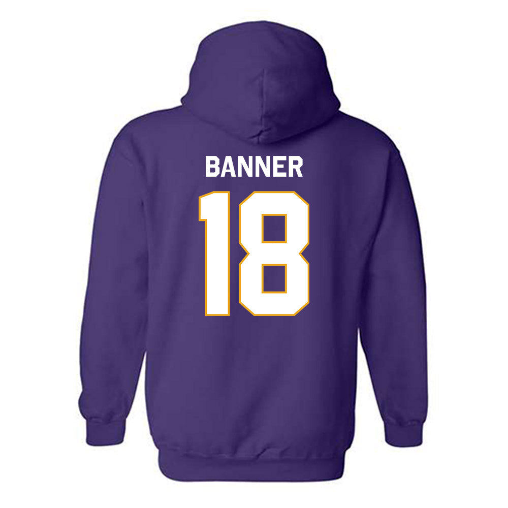 Albany - NCAA Baseball : Dylan banner - Classic Shersey Hooded Sweatshirt-1