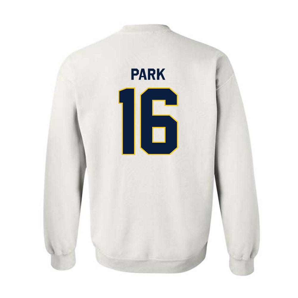 Michigan - NCAA Men's Ice Hockey : Aidan Park - Classic Shersey Crewneck Sweatshirt-1